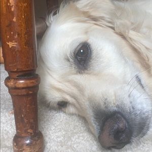 Meet your Posher, Tracy